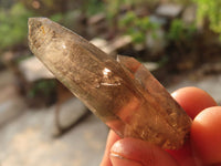 Natural Smokey Quartz Crystals x 12 From Zomba, Malawi