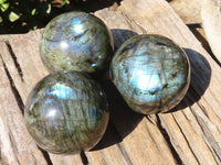 Polished Flashy Labradorite Spheres  x 3 From Tulear, Madagascar - Toprock Gemstones and Minerals 