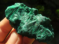 Natural Chatoyant Silky Malachite Specimens  x 12 From Kasompe, Congo - TopRock