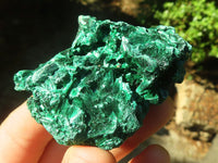 Natural Chatoyant Silky Malachite Specimens  x 12 From Kasompe, Congo - TopRock