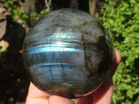 Polished Flashy Labradorite Spheres  x 3 From Tulear, Madagascar - Toprock Gemstones and Minerals 