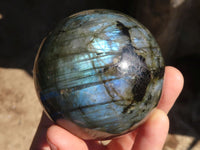 Polished Flashy Labradorite Spheres  x 3 From Tulear, Madagascar - Toprock Gemstones and Minerals 