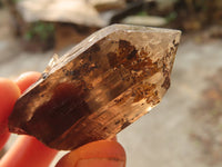 Natural Smokey Quartz Crystals x 12 From Zomba, Malawi