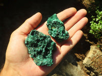 Natural Chatoyant Silky Malachite Specimens  x 12 From Kasompe, Congo - TopRock