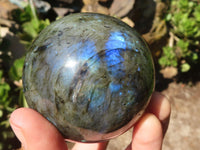 Polished Flashy Labradorite Spheres  x 3 From Tulear, Madagascar - Toprock Gemstones and Minerals 