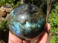 Polished Flashy Labradorite Spheres  x 3 From Tulear, Madagascar - Toprock Gemstones and Minerals 