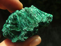 Natural Chatoyant Silky Malachite Specimens  x 12 From Kasompe, Congo - TopRock