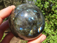 Polished Flashy Labradorite Spheres  x 3 From Tulear, Madagascar - Toprock Gemstones and Minerals 