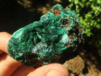 Natural Chatoyant Silky Malachite Specimens  x 12 From Kasompe, Congo - TopRock