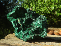 Natural Chatoyant Silky Malachite Specimens  x 12 From Kasompe, Congo - TopRock