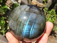 Polished Flashy Labradorite Spheres  x 3 From Tulear, Madagascar - Toprock Gemstones and Minerals 