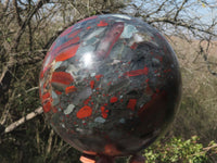 Polished Huge Bloodstone Sphere With Golden Pyrite Specks, Includes A Custom Palisandre Rosewood Stand  x 1 From Swaziland - TopRock