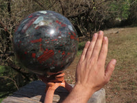 Polished Huge Bloodstone Sphere With Golden Pyrite Specks, Includes A Custom Palisandre Rosewood Stand  x 1 From Swaziland - TopRock