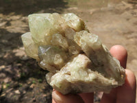 Natural Cascading Smokey Phantom Quartz Clusters  x 3 From Luena, Congo - TopRock