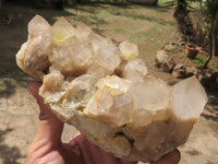 Natural Cascading Smokey Phantom Quartz Clusters  x 3 From Luena, Congo - TopRock