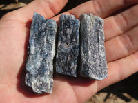 Natural Single Blue Kyanite Crystals  x 35 From Karoi, Zimbabwe - Toprock Gemstones and Minerals 