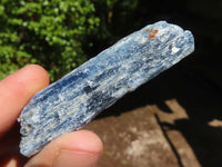 Natural Single Blue Kyanite Crystals  x 35 From Karoi, Zimbabwe - Toprock Gemstones and Minerals 