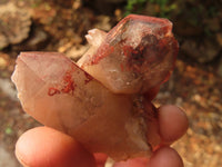 Natural Red Hematoid Quartz Specimens x 24 From Karoi, Zimbabwe