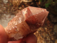 Natural Red Hematoid Quartz Specimens x 24 From Karoi, Zimbabwe