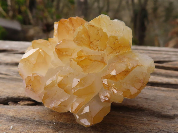 Natural Mixed Selection of Brandberg Specimens x 6 From Namibia