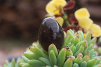 Polished Medium Sized Optic to Semi Optic Smokey Quartz Eggs - sold per 500 g - From Madagascar - TopRock