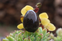 Polished Medium Sized Optic to Semi Optic Smokey Quartz Eggs - sold per 500 g - From Madagascar - TopRock