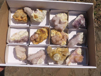 Natural Mixed Selection Of Spirit Quartz Clusters x 12 From Boekenhouthoek, South Africa - TopRock