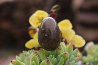 Polished Medium Sized Optic to Semi Optic Smokey Quartz Eggs - sold per 500 g - From Madagascar - TopRock