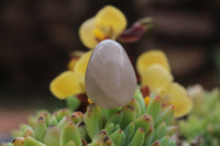 Polished Medium Sized Optic to Semi Optic Smokey Quartz Eggs - sold per 500 g - From Madagascar - TopRock