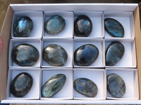 Polished  Flashy Labradorite Palm Stones  x 12 From Tulear, Madagascar