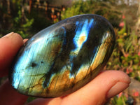 Polished  Flashy Labradorite Palm Stones  x 12 From Tulear, Madagascar