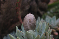 Polished Medium Sized Optic to Semi Optic Smokey Quartz Eggs - sold per 500 g - From Madagascar - TopRock