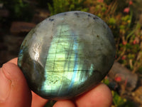 Polished  Flashy Labradorite Palm Stones  x 12 From Tulear, Madagascar