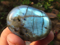 Polished  Flashy Labradorite Palm Stones  x 12 From Tulear, Madagascar