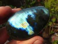 Polished  Flashy Labradorite Palm Stones  x 12 From Tulear, Madagascar