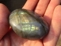 Polished  Flashy Labradorite Palm Stones  x 12 From Tulear, Madagascar