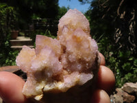 Natural Mixed Spirit Quartz Clusters  x 12 From Boekenhouthoek, South Africa - TopRock