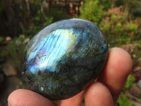 Polished  Flashy Labradorite Palm Stones  x 12 From Tulear, Madagascar