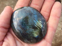 Polished  Flashy Labradorite Palm Stones  x 12 From Tulear, Madagascar