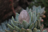 Polished Medium Sized Optic to Semi Optic Smokey Quartz Eggs - sold per 500 g - From Madagascar - TopRock