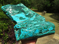 Polished XL Botryoidal Malacholla Display Specimen x 1 From Lupoto, Congo - TopRock