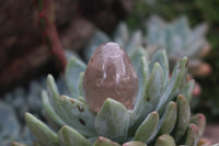 Polished Medium Sized Optic to Semi Optic Smokey Quartz Eggs - sold per 500 g - From Madagascar - TopRock