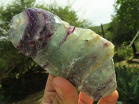 Natural Watermelon Fluorite Cobbed & Stone Sealed Selected Pieces x 12 From Uis, Namibia - TopRock