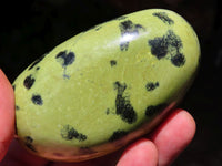 Polished Leopard Stone Free Forms x 4 From Zimbabwe - TopRock