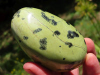 Polished Leopard Stone Free Forms x 4 From Zimbabwe - TopRock