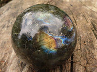 Polished Flashy Labradorite Spheres  x 2 From Madagascar - TopRock