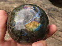 Polished Flashy Labradorite Spheres  x 2 From Madagascar - TopRock