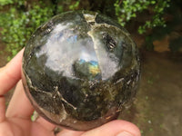 Polished Flashy Labradorite Spheres  x 2 From Madagascar - TopRock