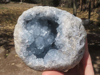 Natural Blue Celestite Geode Specimens With Nice Optic Crystals  x 2 From Sakoany, Madagascar - TopRock