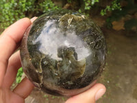 Polished Flashy Labradorite Spheres  x 2 From Madagascar - TopRock